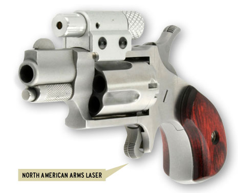 north american arms
